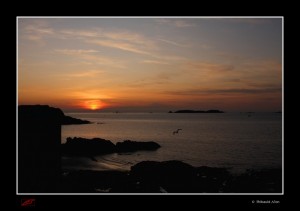 Une mouette s'en allant vers le couchant