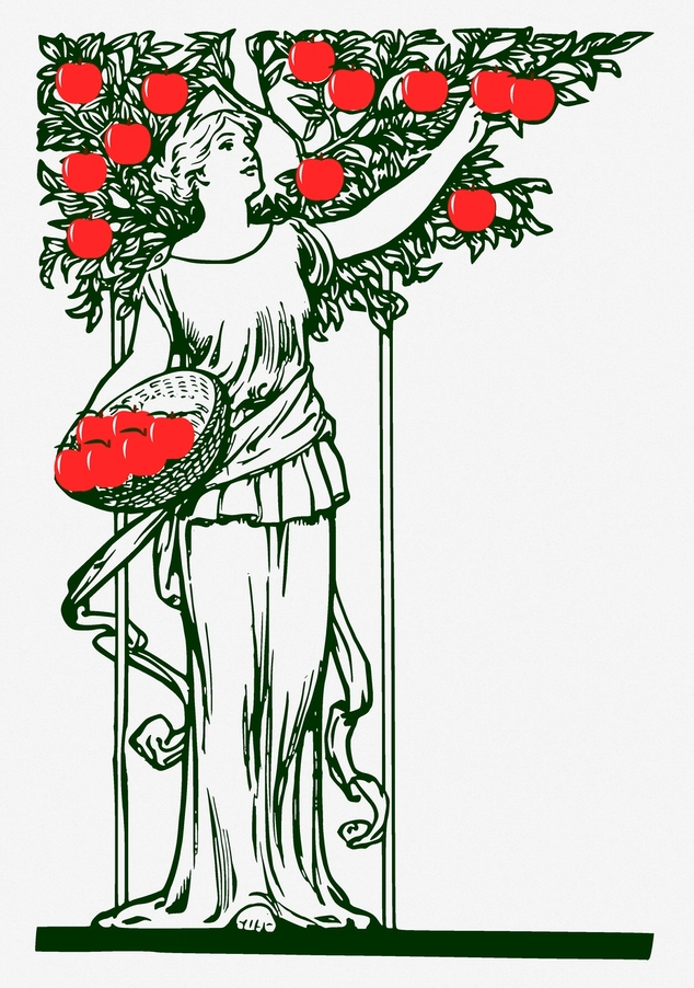 Une femme cuillant des pommes