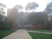 Misty monash