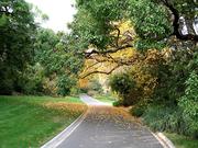 Promenade dans le Royal Botanic Garden de Melbourne Promenade dans le Royal Botanic Garden de Melbourne