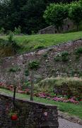 Img 4190