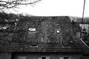 Img 4971 developed in ufraw