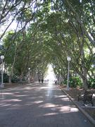 Hyde park alley